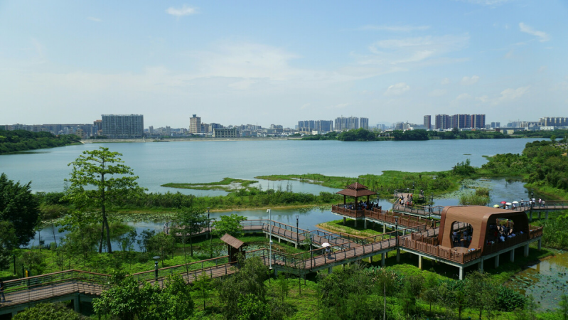 盤(pán)點(diǎn)深圳十大最美公園，你最?lèi)?ài)的是哪個(gè)公園？